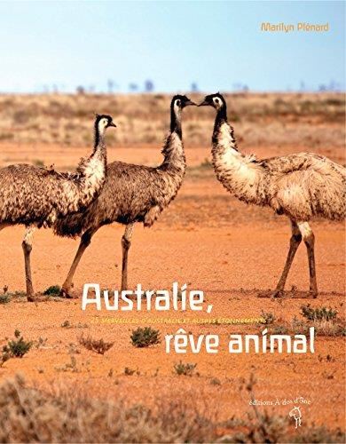 Australie, rêve animal